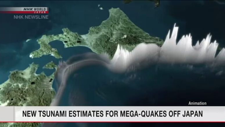 Tsunami could overtake Fukushima Daiichi's seawall