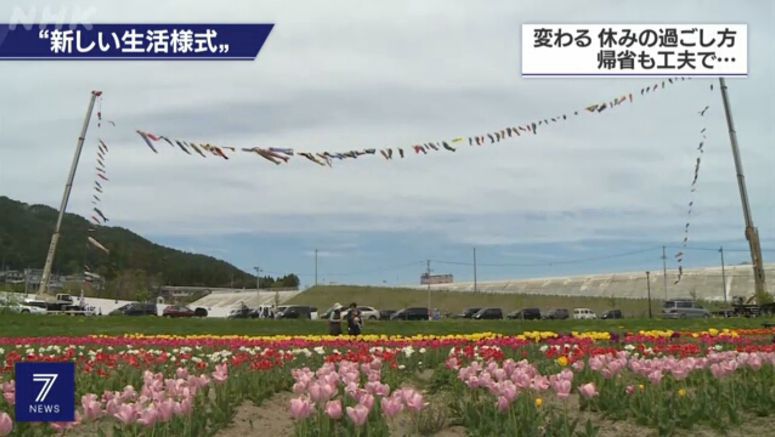 Colorful carp fly high for town in Iwate