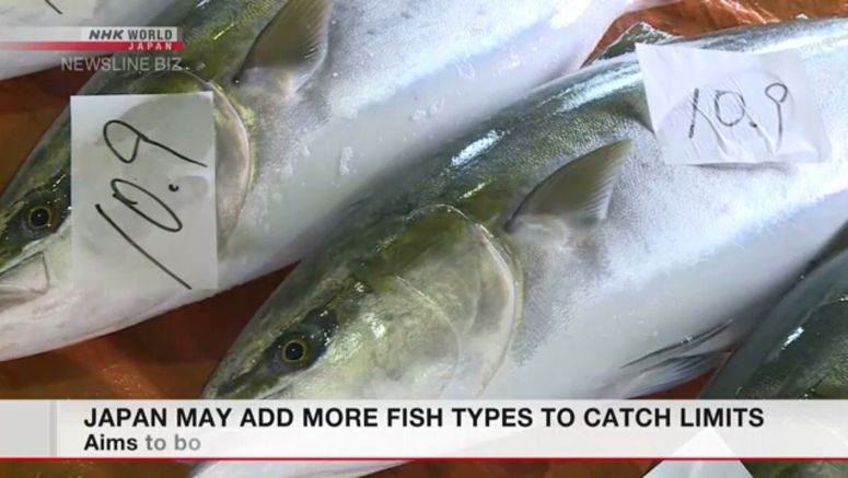 Japan may add more fish types to catch limits Japan may add more fish types to catch limits