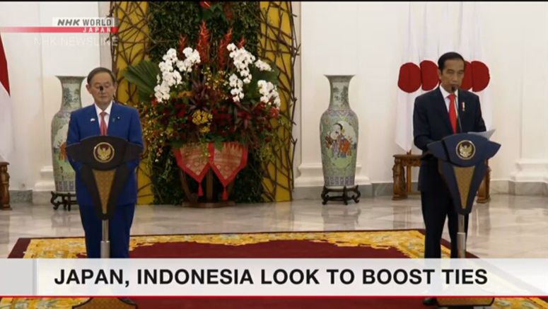 Japan, Indonesia look to boost ties