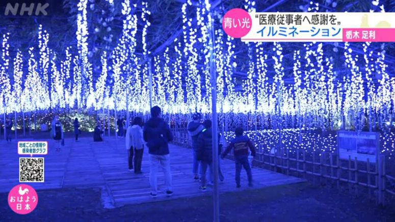 Flower park lights up to thank medical workers