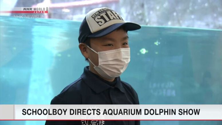 Japanese boy directs dolphin shows at aquarium