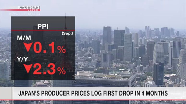 Japan's producer prices log first drop in 4 months