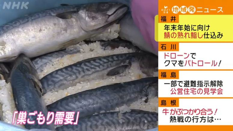Mackerel sushi production starts in Fukui