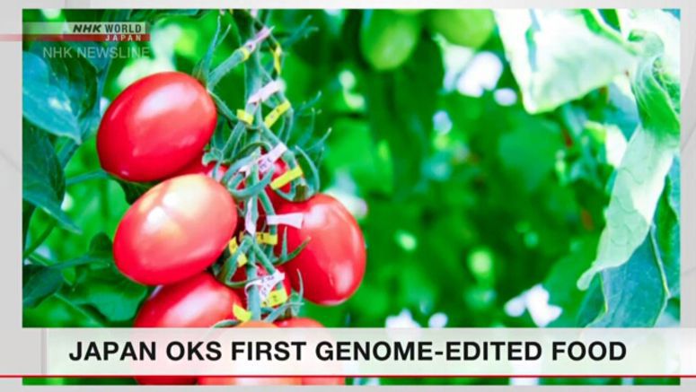 Japan panel approves first genome-edited food