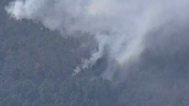 Dry air hampers containment of Ashikaga wildfire