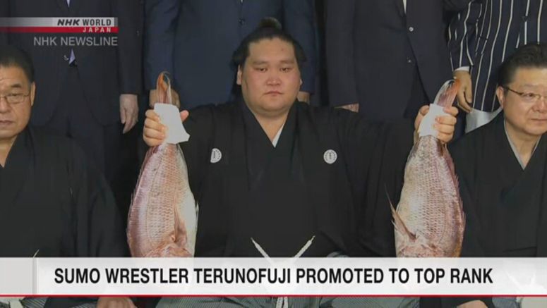 Terunofuji promoted to sumo's highest rank