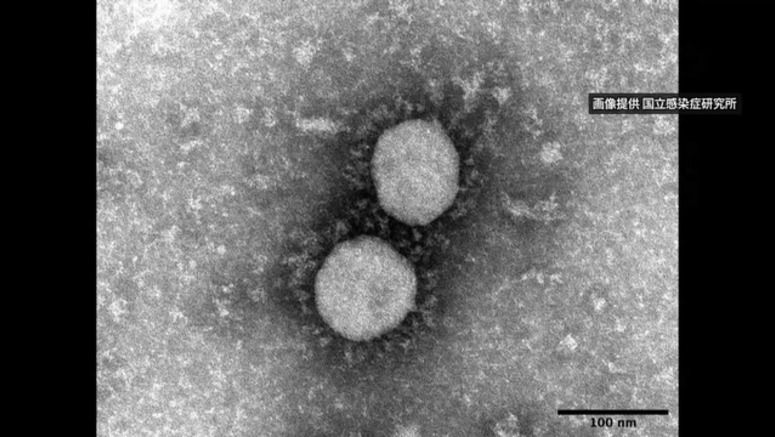 Details of infected athletes kept confidential