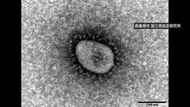Tokyo confirms record 12,813 cases of coronavirus