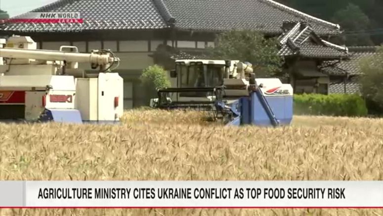 Japan's agriculture ministry says Ukraine conflict is top food security risk