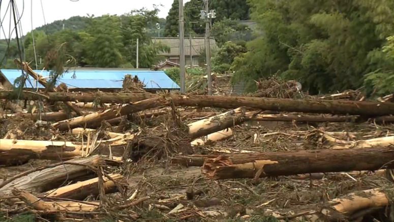 Niigata Prefecture reports damage, injuries due to torrential rain