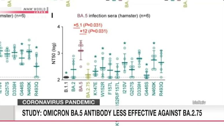 Researchers: Omicron BA.5 antibody less effective against BA.2.75