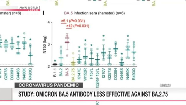 Researchers: Omicron BA.5 antibody less effective against BA.2.75 Researchers: Omicron BA.5 antibody less effective against BA.2.75