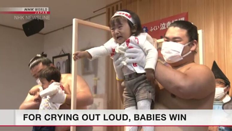 Crying sumo contest for babies returns