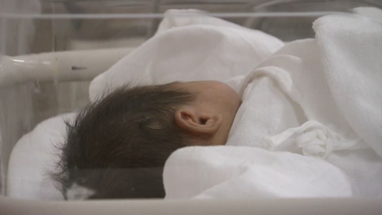 Japan projected to have fewer than 800,000 births this year