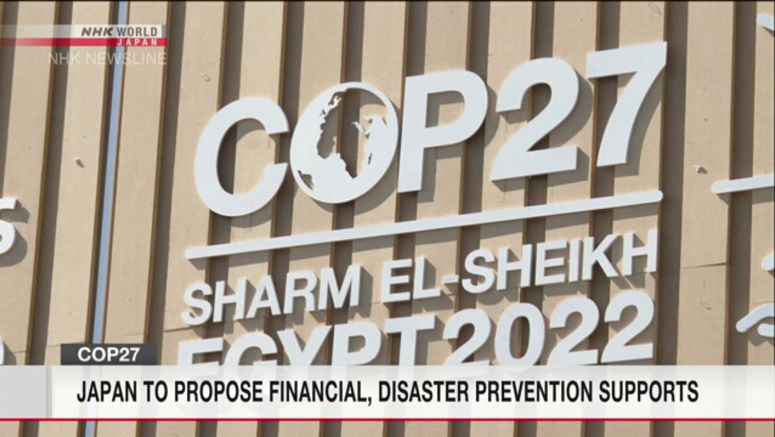 Japan to declare support for climate 'loss and damage' at COP27