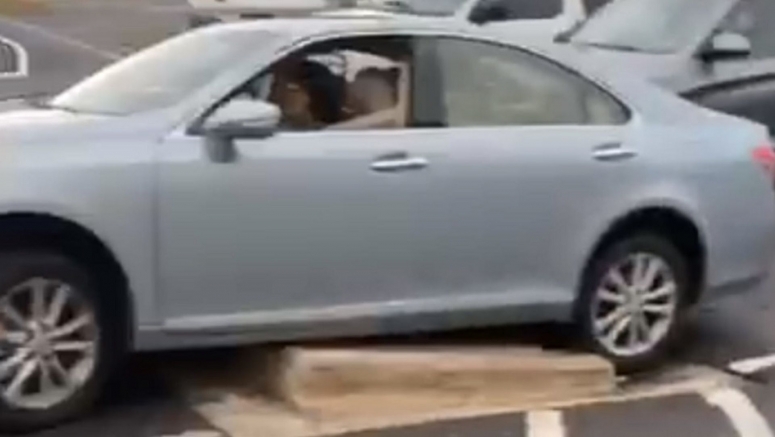 Lexus ES Beaches Itself On Median, But Driver Falls To Admit Defeat