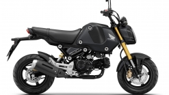 Honda Grom gets an updated engine and a new sense of style