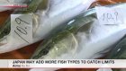 Japan may add more fish types to catch limits