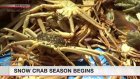 Snow crab fishing season begins in Fukui