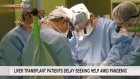 Survey: Liver transplants delayed by pandemic