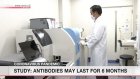 Study: COVID-19 antibodies may last for 6 months