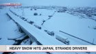Heavy snow hits Japan, strands drivers