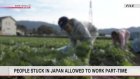 People stuck in Japan allowed to work part-time