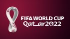 Japan soccer coach: Team will do its best for next match with Spain